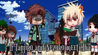 🌿🌷 If Tanjiro And Nezuko Meet Mha 🌷🌿  ✨ [upl. by Atnovart546]