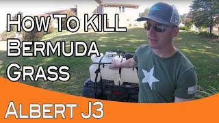 Killing Bermuda Grass With 1 Application [upl. by Cartwell]