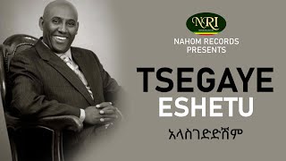 Tsegaye Eshetu  Alasgedidishim  አላስገድድሽም  Ethiopian Music [upl. by Assened]