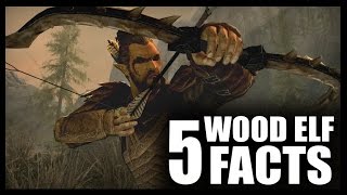 Skyrim  5 Wood Elf Facts  Elder Scrolls Lore [upl. by Gnirps]