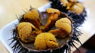 Japanese Street Food  GIANT SEA URCHIN Uni Sashimi Japan Seafood [upl. by Gretel]