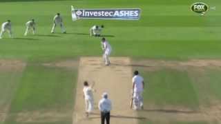 Ashes 2013 Australian Bowlers Series Highlights  All 85 English Wickets [upl. by Duong]