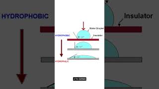 Hydrophobic vs Hydrophilic and the importance for the electrical insulators [upl. by Blanche]