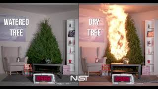 Christmas Tree Fire Safety [upl. by Nanon702]