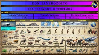 Las Eras Geológicas 5 La Era Cenozoica [upl. by Enilaf]