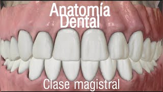 Anatomía dental  clase magistral virtual [upl. by Maite]