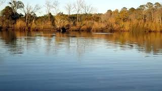 Kayak Fishing Slocum Creek Havelock North Carolina [upl. by Catlin]