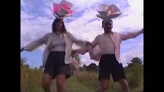 Rubblebucket  quotCherry Blossomquot Official Video [upl. by Ikeda]