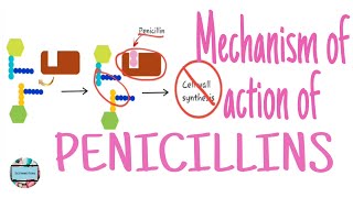 Mechanism of action of penicillins bacterial resistance against penicillins penicillin [upl. by Margit831]