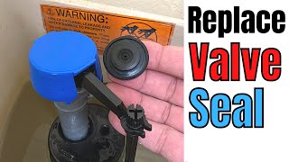 Fix it Yourself Replace the Fluidmaster 400 Valve Seal for Beginners  Basic Life Skills [upl. by Ailedroc476]