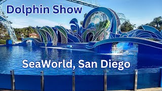 Dolphin Encounter SeaWorld San Diego 🇺🇸 [upl. by Ferdinand430]