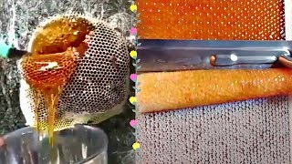 MOST AMAZING HONEYCOMB UNCAPPINGOddly Satisfying ASMR [upl. by Cupo488]