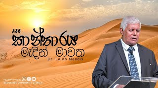 කාන්තාරය මැදින් මාවත ගීතාවලිය 68  Dr Lalith Mendis [upl. by Ronym779]