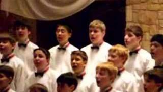 Here I am Lord  American Boychoir [upl. by Evelunn]