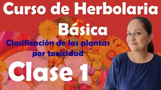 Curso de Herbolaria básica gratuito  clase 1  Toxicidad de las plantas [upl. by Stanislaus]