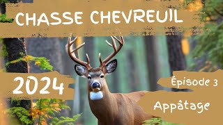 Chasse chevreuil 2024 Appâtage Ep3 [upl. by Ylla]