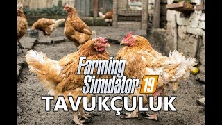 Farming Simulator 19  Tavukçuluk Rehberi FS19 [upl. by Edra]