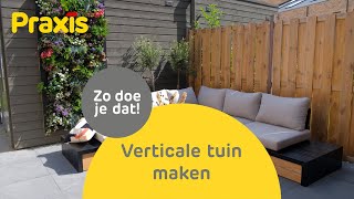 Verticale tuin maken voor buiten  Praxis [upl. by Zetram430]