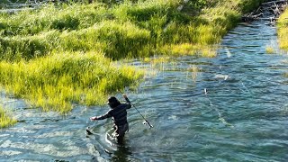 Yakutat Alaska Fishing trip [upl. by Stanford]