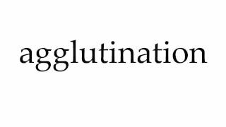 How to Pronounce agglutination [upl. by Debbie888]