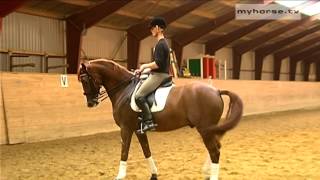 Dressage Exercise  Walk Pirouettes [upl. by Monreal]