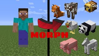 How to Morph Into Any Mob in Minecraft Tutorial [upl. by Afrikah454]