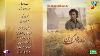 Zard Patton Ka Bunn  Episode 22 Teaser CC  02 Oct 24  HUM TV  Sherry Studio Review [upl. by Hsetirp]