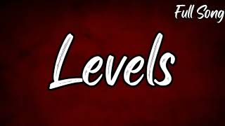 Avicii  Levels Lyrics [upl. by Clippard975]