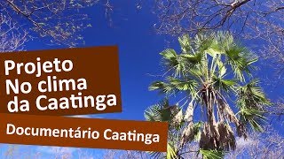 Documentário Caatinga [upl. by Gasser]