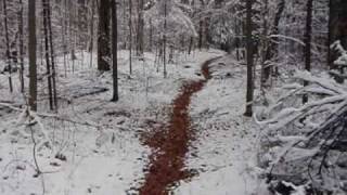 Adirondacks  Bear LakeMountain [upl. by Pardo232]