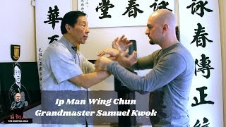 Ip Man 4 The Finale 2019  Bruce Lee Alley Fight Scene 110  Movieclips [upl. by Blackmore]