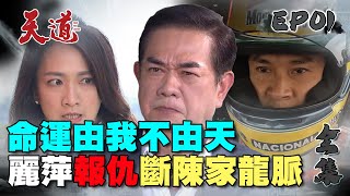 天道 EP1 完整版｜命運由我不由天 各種復仇正式開始｜FIGHT FOR JUSTICE｜【蘿琳亞塑身衣】 [upl. by Arnelle]