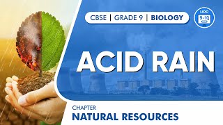 Acid Rain  Natural Resources  Class 9 Biology Chapter 14 [upl. by Remington]