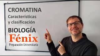 Cromatina Características y Clasificación [upl. by Emiatej]