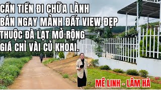 Ultr Chỉ 949 tr có ngay 300m2 sẵn thổ cư mặt tiền 10 mngay khu nghỉ dưỡng khí hậu trong trong lành [upl. by Lotti]