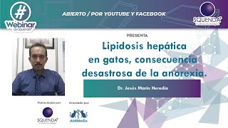 Lipidosis Hepática En Gatos Consecuencia Desastrosa De La Anorexia  Dr Jesús Marín Heredia [upl. by Yasnyl]