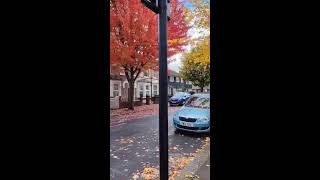 LONDON ROAD LIVE  LIKE amp SUBSCRIBE [upl. by Kenwrick]