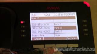 Avaya Phones Basic Use  95089608 [upl. by Rolph]