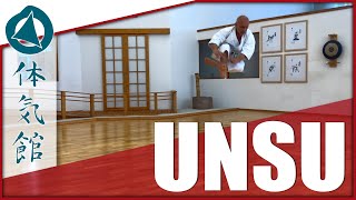 HOW TO UNSU – SLOW amp FAST  Shōtōkan Karate Kata by Fiore Tartaglia [upl. by Neerhtak]