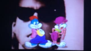 Tiny Toon adventures Toon Tv Top 10 Music video countdown 10 [upl. by Ttekcirc]