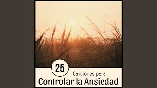 25 Canciones para Controlar la Ansiedad [upl. by Redwine]