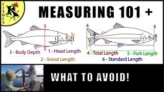 Fishing Helper How to measure a fish most fishes  Koaw Nature Lesson 5 [upl. by Strep423]