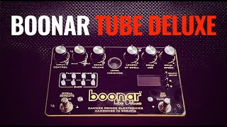 David Gilmours Binson Echorec  Dawner Prince Boonar Tube Deluxe [upl. by Ardene959]