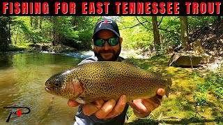 East Tennessee Trout Fishing [upl. by Arezzini]