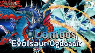 COMBO EVOLTILE EVOLSAUR OGDOADIC  YuGiOh  Edopro [upl. by Jackson]