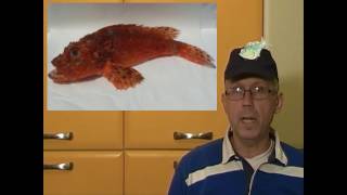 Scorfano in forno alla triestinaRoast Red Scorpion Fish in Triestes Manner [upl. by Schaeffer]