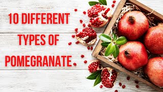 Top 10 types of pomegranate [upl. by Brewster]