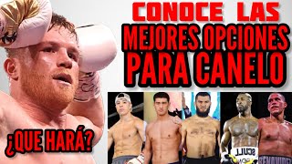 ¡IMPERDIBLE Los 5 RIVALES del Canelo Álvarez para 2025 y LO QUE LE OFRECEN Tienes que verlo [upl. by Noit]