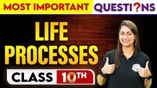 LIFE PROCESSES  Most Important Questions  Class  10th [upl. by Anali]