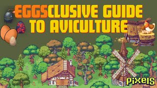 PIXELS︱EGGSCLUSIVE GUIDE TO AVICULTURE︱CHICKEN︱EGG︱SELTSMAN EGG︱EGGSPLOSIVE [upl. by Brendin699]